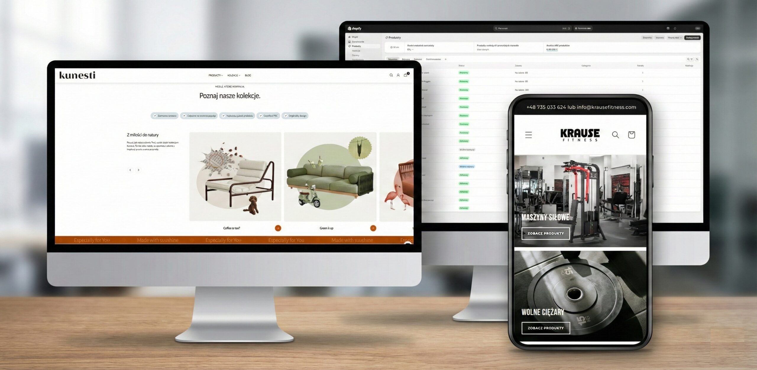 Panel administracyjny Shopify - widok produktów i zamówień